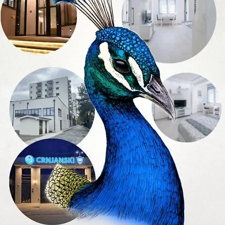 Crnjanski Paun L Apartment