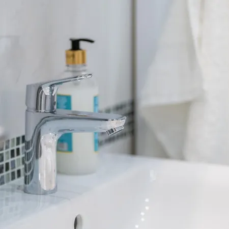 Crnjanski Paun L 雅戈丁那