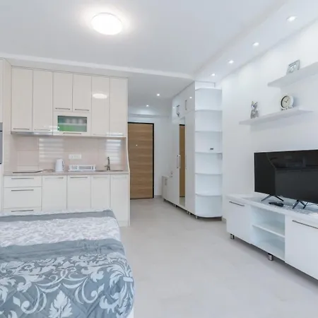 Crnjanski Paun L * 雅戈丁那