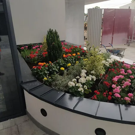 Crnjanski Paun L Apartamento Jagodina