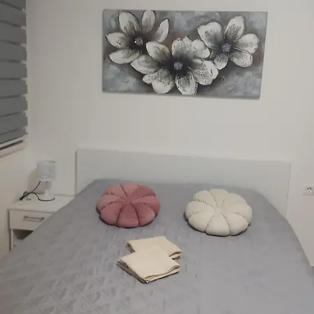 Crnjanski Paun L * Jagodina