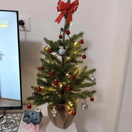 Apartment Crnjanski Paun L