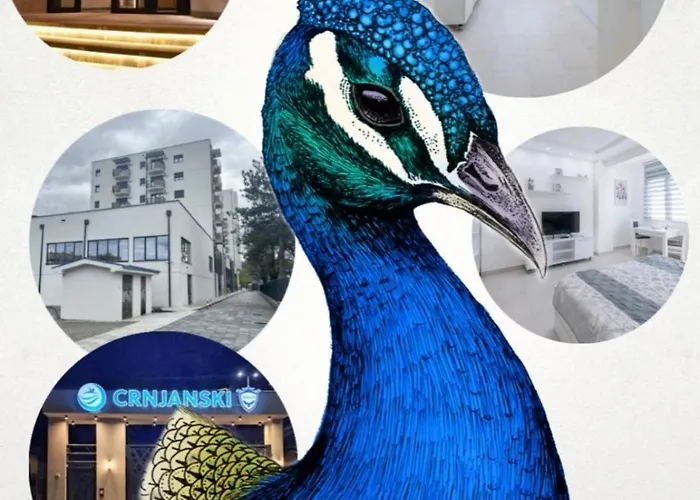 Crnjanski Paun L Διαμέρισμα