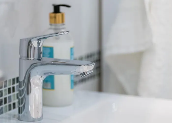 Crnjanski Paun L Jagodina