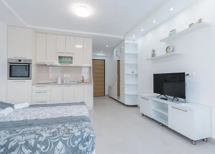 Crnjanski Paun L * Jagodina