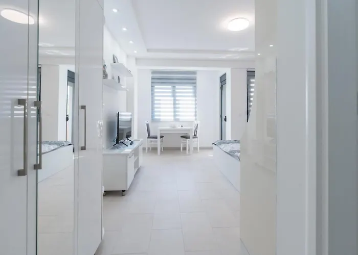 Crnjanski Paun L * Jagodina