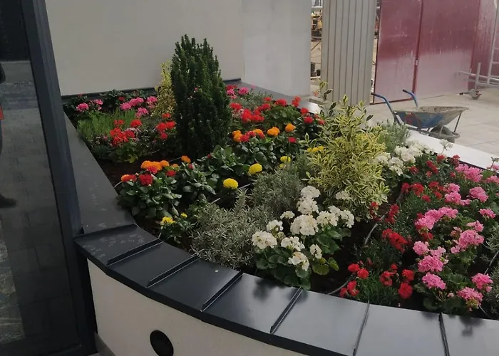 Crnjanski Paun L Διαμέρισμα Jagodina