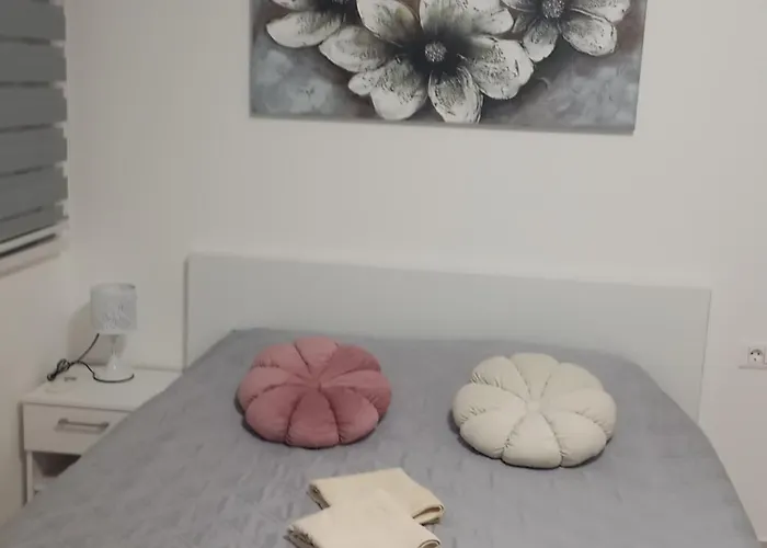 Crnjanski Paun L * Jagodina