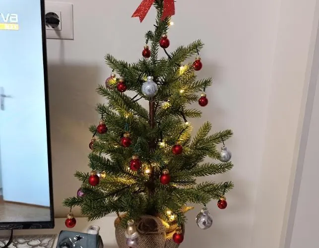 Διαμέρισμα Crnjanski Paun L